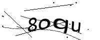 captcha_img