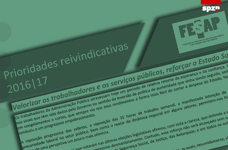 Prioridades reivindicativas FESAP 2016|17