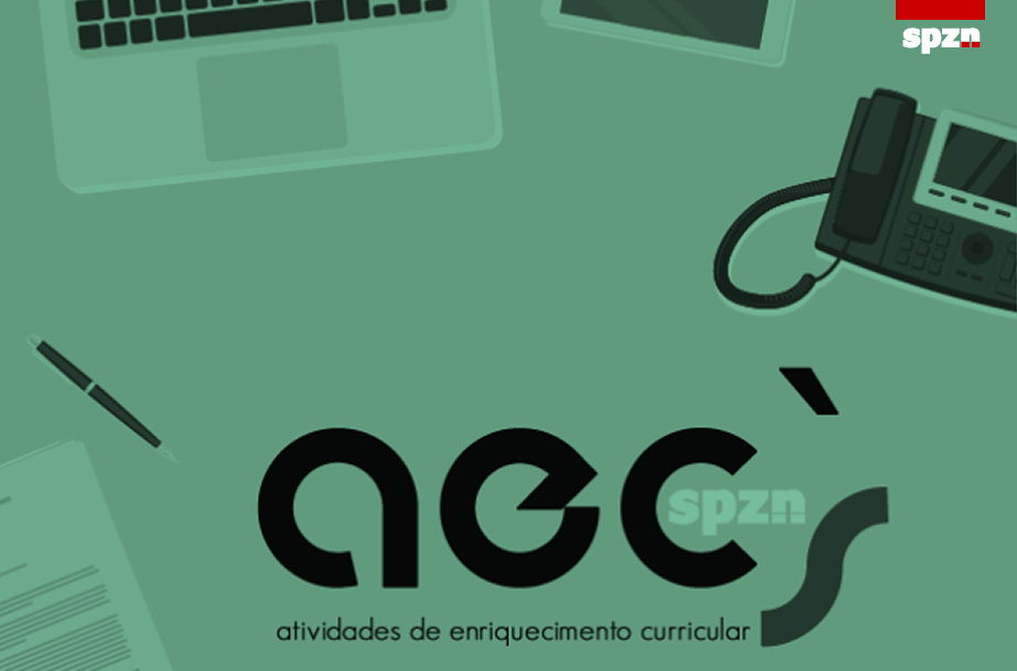 Professores das AEC´s