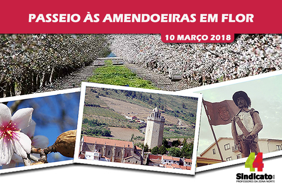 Passeio às Amendoeiras em Flor - SPZN Bragança