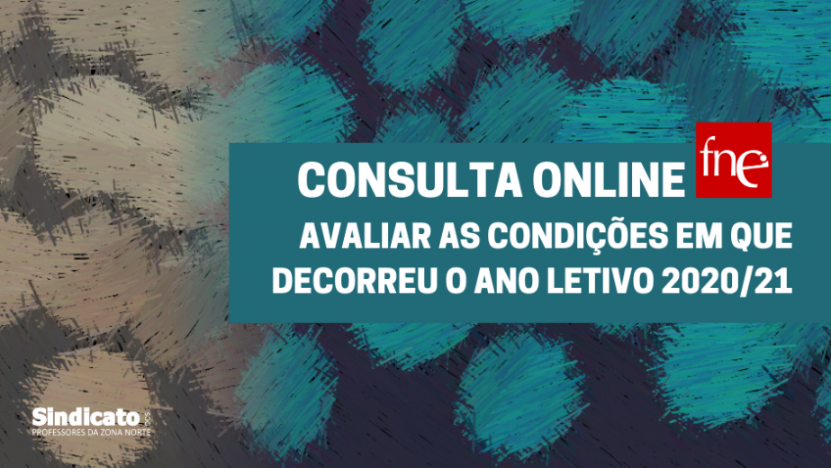 Consulta da FNE para avaliar as condições em que decorreu o ano letivo 2020/21