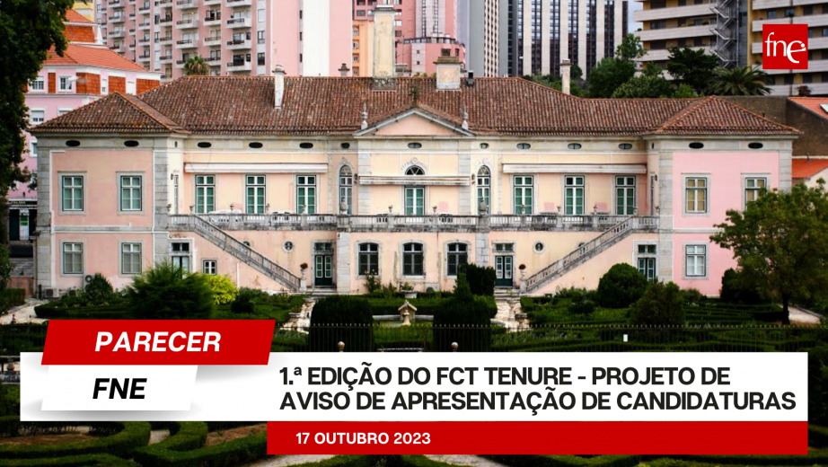 Parecer FNE - 1.ª Edição do FCT Tenure - projeto de aviso de apresentação de candidaturas