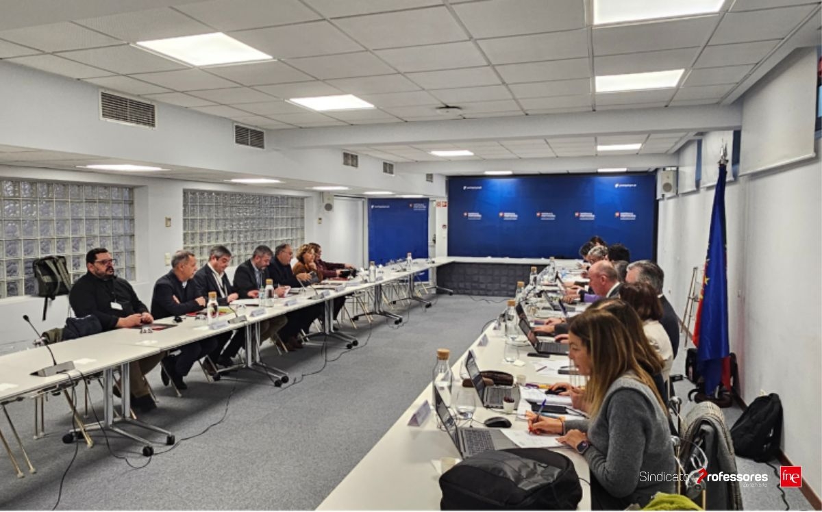 Balanço da reunião FNE com MECI sobre o Tema 2, revisão do ECD